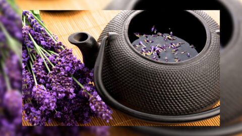 Lavanda çayının faydaları, necə hazırlamaq olar?